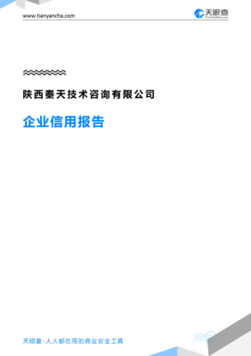 陕西秦天技术咨询(企业信用报告)- 天眼查